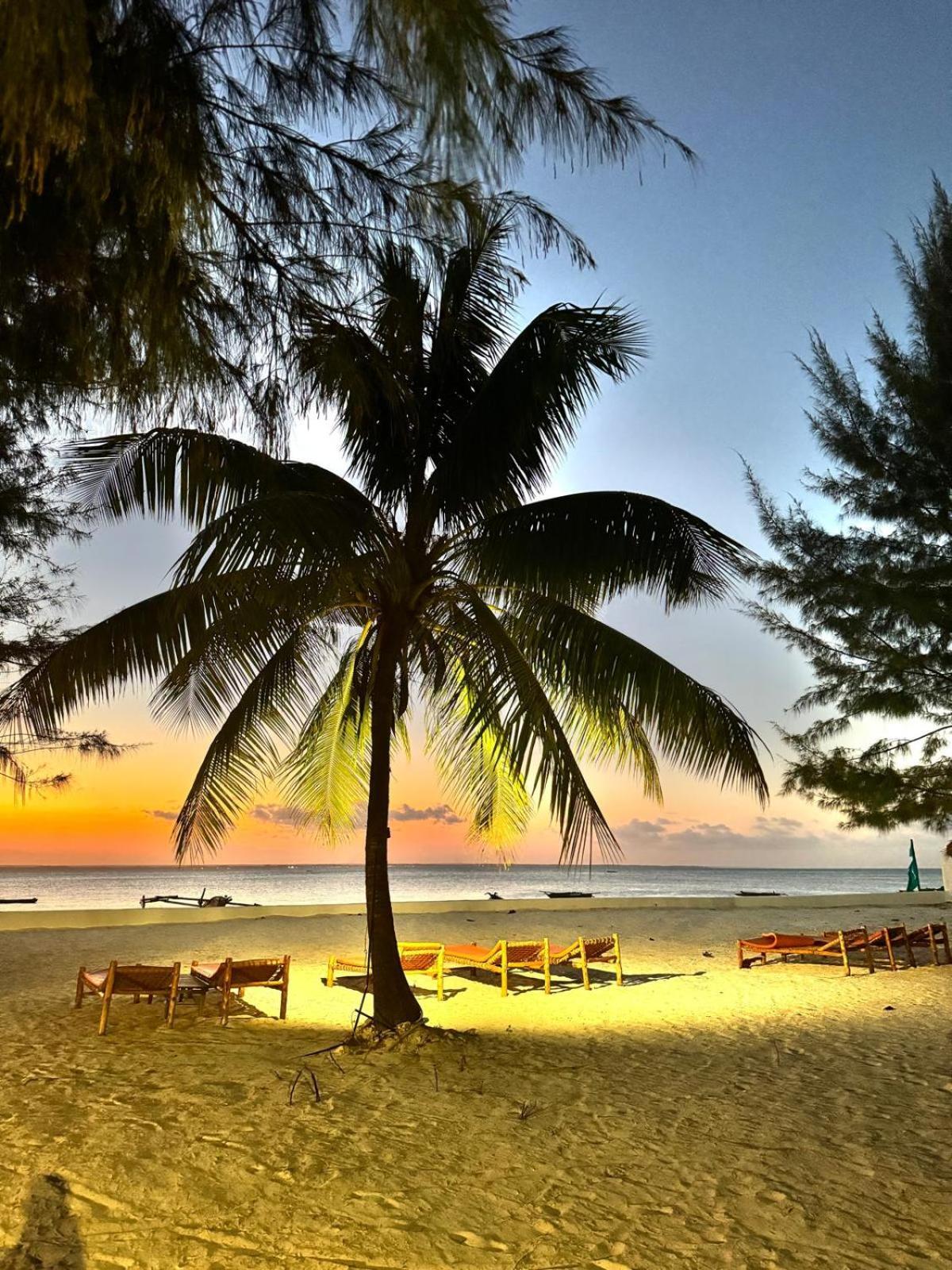 Bahati Sunset Bungalows Michamvi 외부 사진