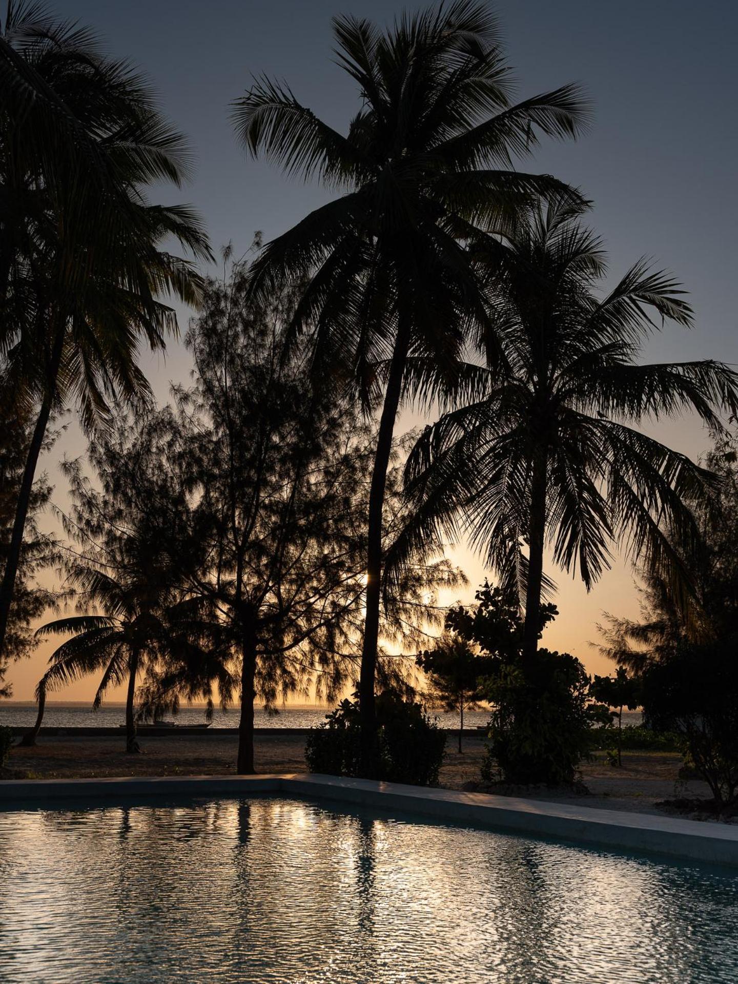 Bahati Sunset Bungalows Michamvi 외부 사진